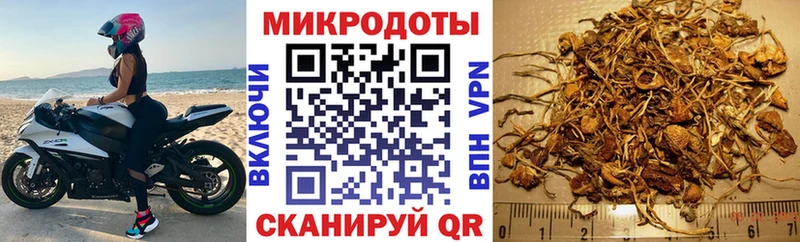 Галлюциногенные грибы мицелий хочу Тайшет