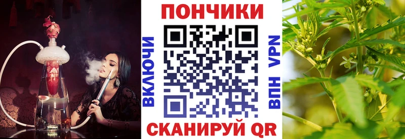 Конопля гибрид  Тайшет 